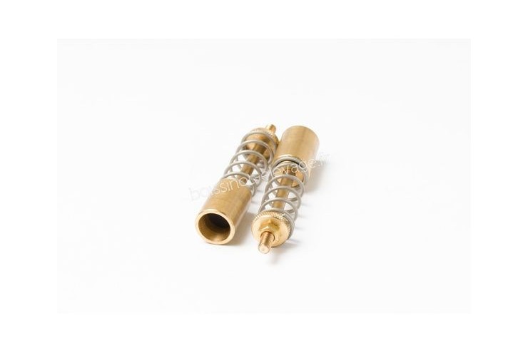 Soupapes laiton complètes T3/T4 - les 2