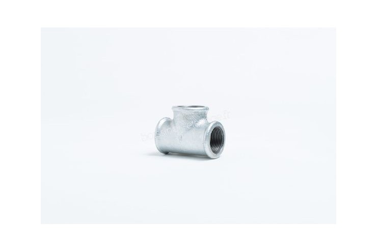 Te Egal Galva N° 130 26x34