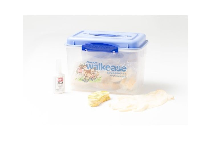 Walkease