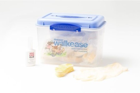 Walkease