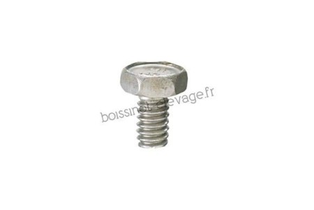 Vis 1/4x11mm