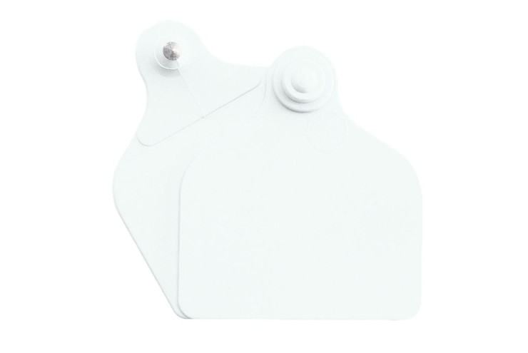 Boucles de marquage UKAFLEX boucle nue blanche Maxi+Maxi par 20