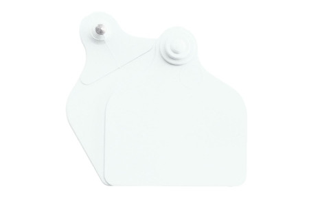 Boucles de marquage UKAFLEX boucle nue blanche Maxi+Maxi par 20