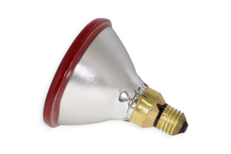 Lampe chauffante à infrarouge 175W E27