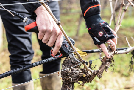 Sécateur F3020 complet