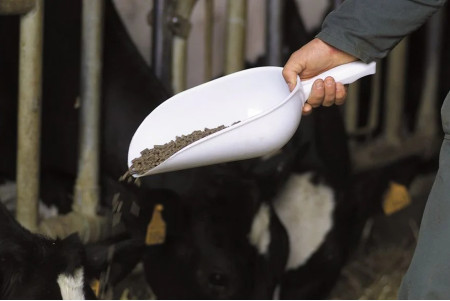 Pelle à grain plastique