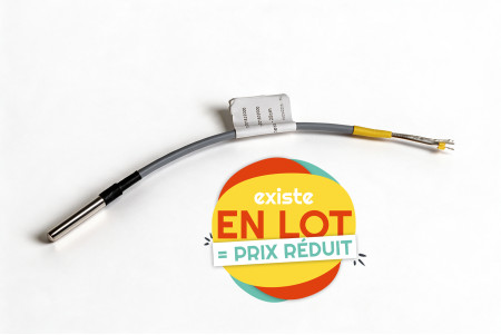 Sonde de temperature - 28cm