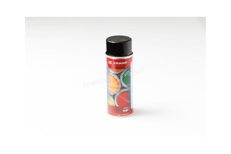 Bombe de peinture RAL 9005 noir profond 400mL