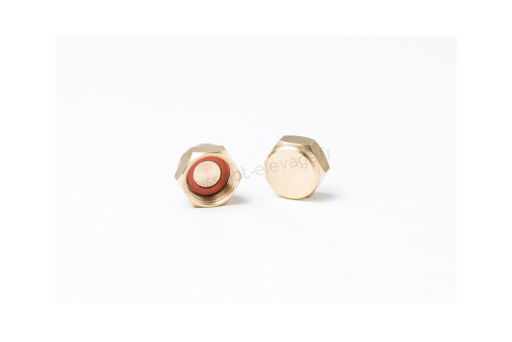 Bouchon-ecrou + Joint Gurt. 19153