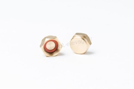 Bouchon-ecrou + Joint Gurt. 19153