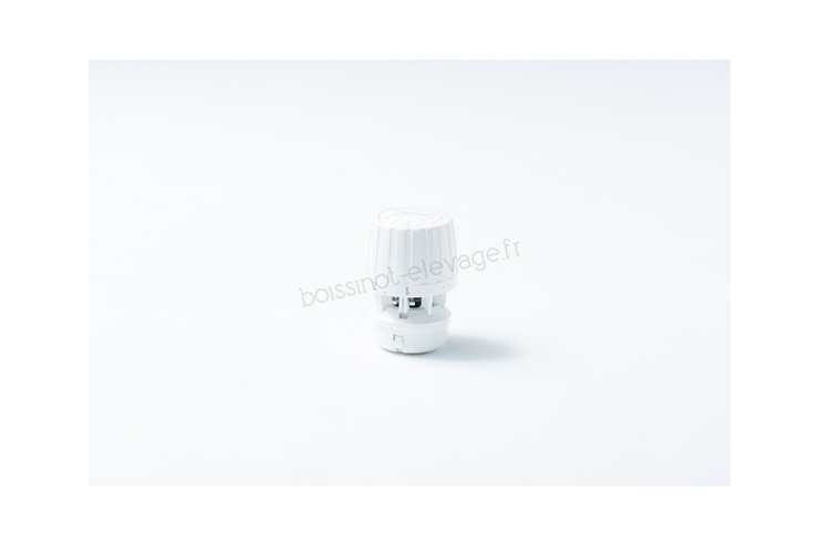 Bulbe Danf.fixe Seul 013g299000