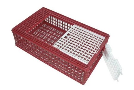 Cage de transport plastique pour volaille