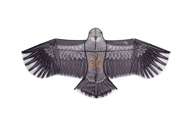 Cerf-volant aigle + pivot + mat 4m.