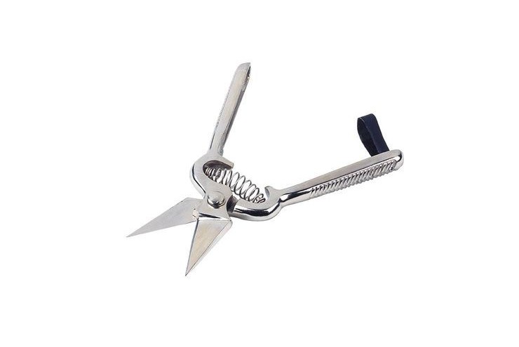 Cisaille onglons mouton non crantée 6 cm
