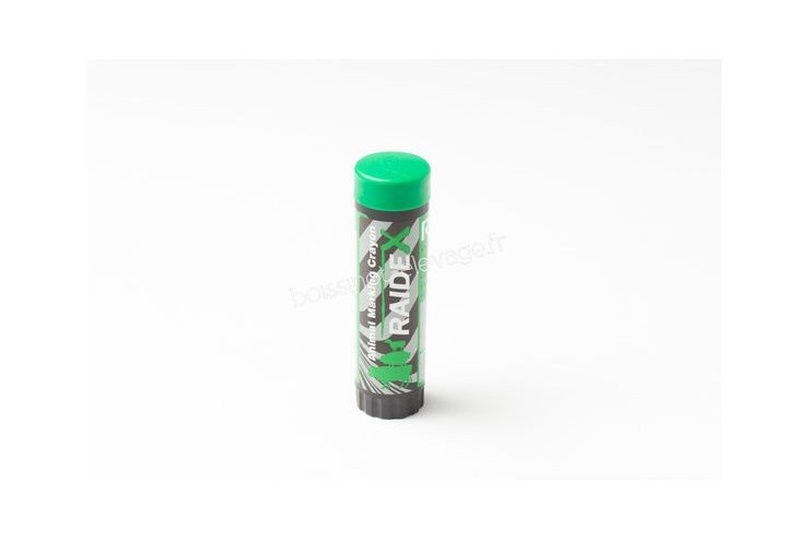 Crayon Raidex plastique vert
