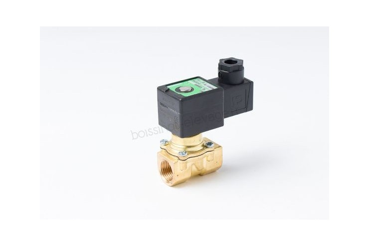 Electrovanne - 2/2 normalement fermé - 3/4" - 24V