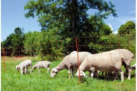 Filet mouton Ovinet simple pointe 90cm x 50m