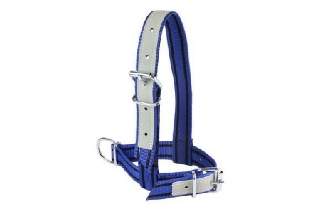 Licol bleu pour veau
