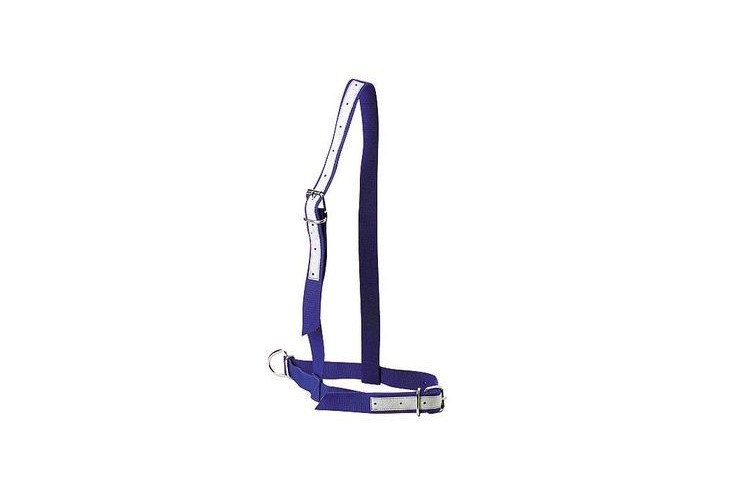 Licol en nylon bleu pour vache
