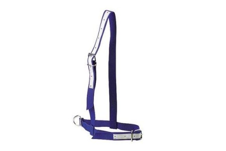 Licol en nylon bleu pour vache