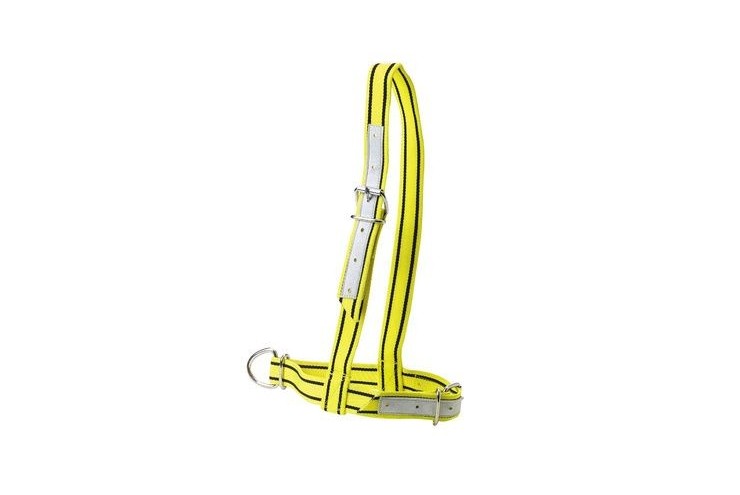 Licol en nylon jaune et noir pour vache