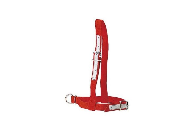 Licol en nylon rouge pour vache