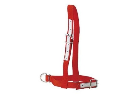 Licol en nylon rouge pour vache