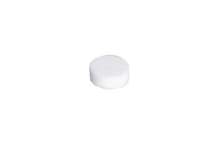 Pion clapet anti-Retour 1 pouce
