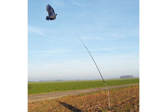 Cerf-volant aigle + pivot + mat 4m.