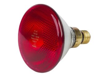 Lampe chauffante à infrarouge 175W E27