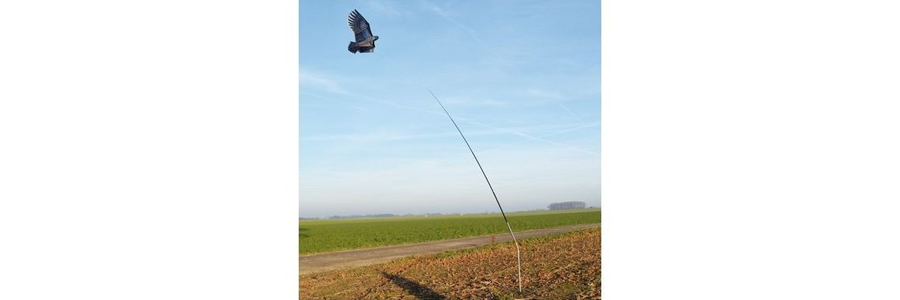 imgi_39_cerf-volant-aigle-pivot-mat-4m.png