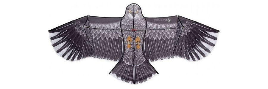 imgi_5_cerf-volant-aigle-pivot-mat-4m.png